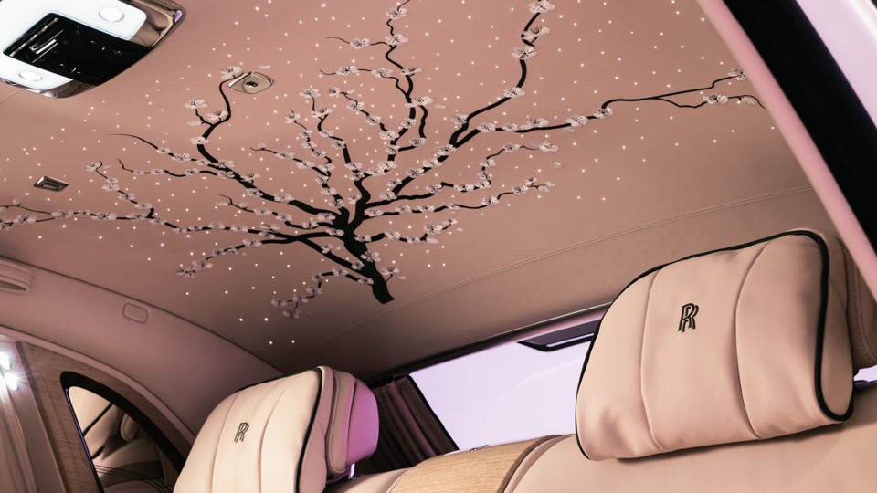 PHANTOM CHERRY BLOSSOM