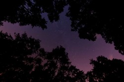 ПРЕЗЕНТАЦІЯ НОВИХ ПЕРСПЕКТИВ